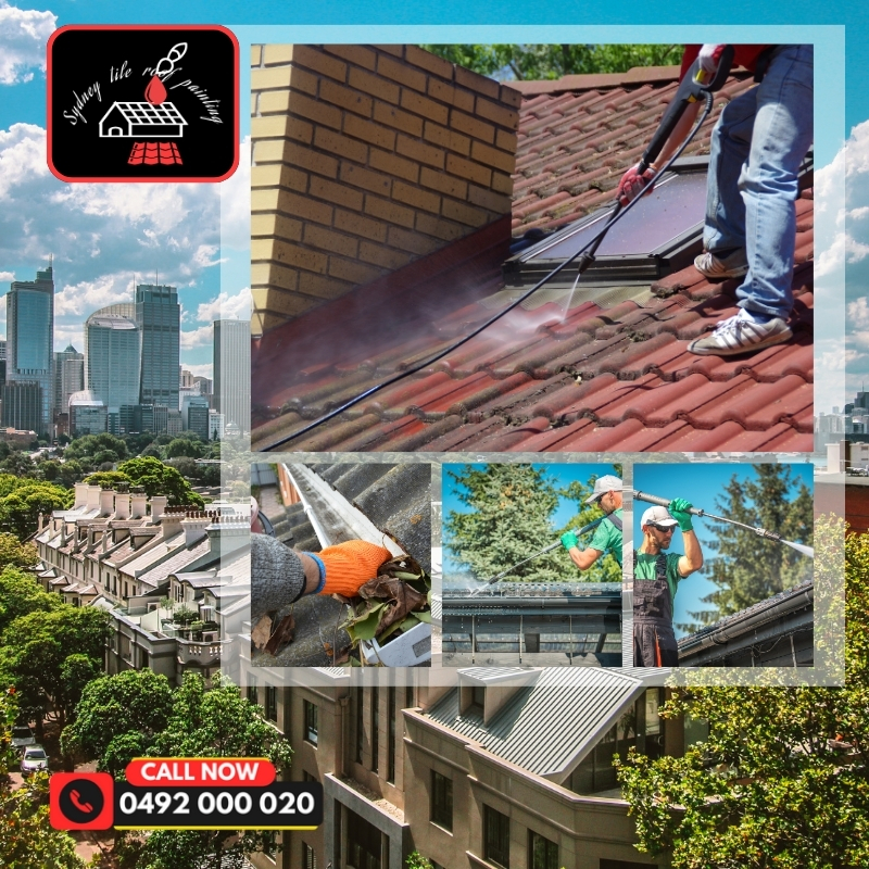 image presents Roof Cleaning Scotland Island